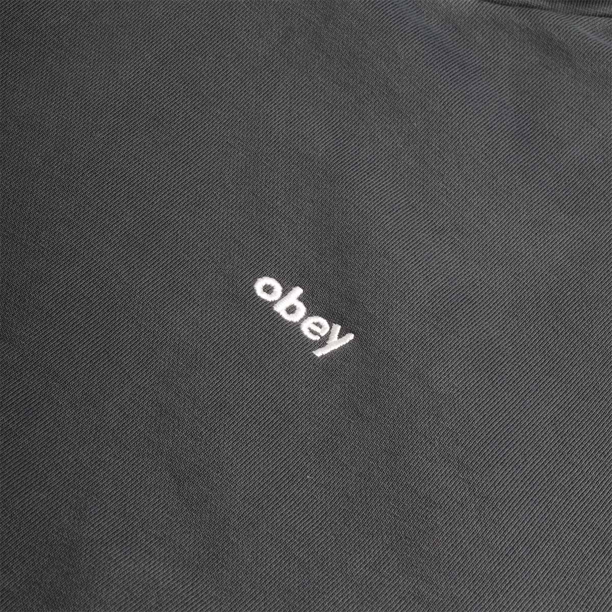 OBEY Lowercase Pigment Hoodie