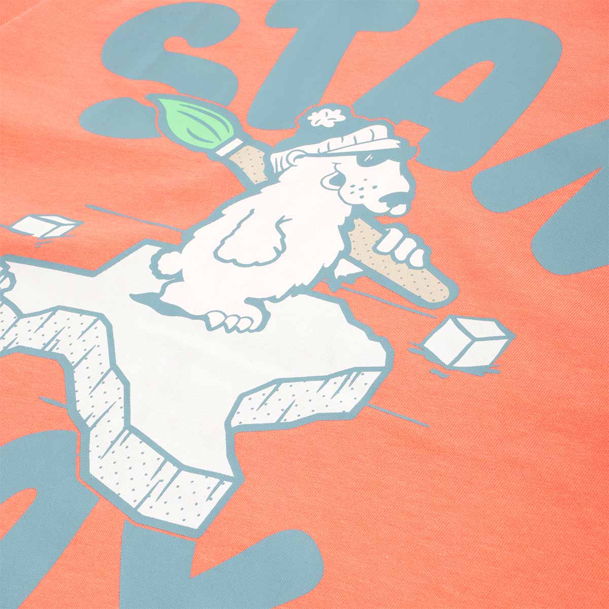 Stan Ray Polar State T-Shirt