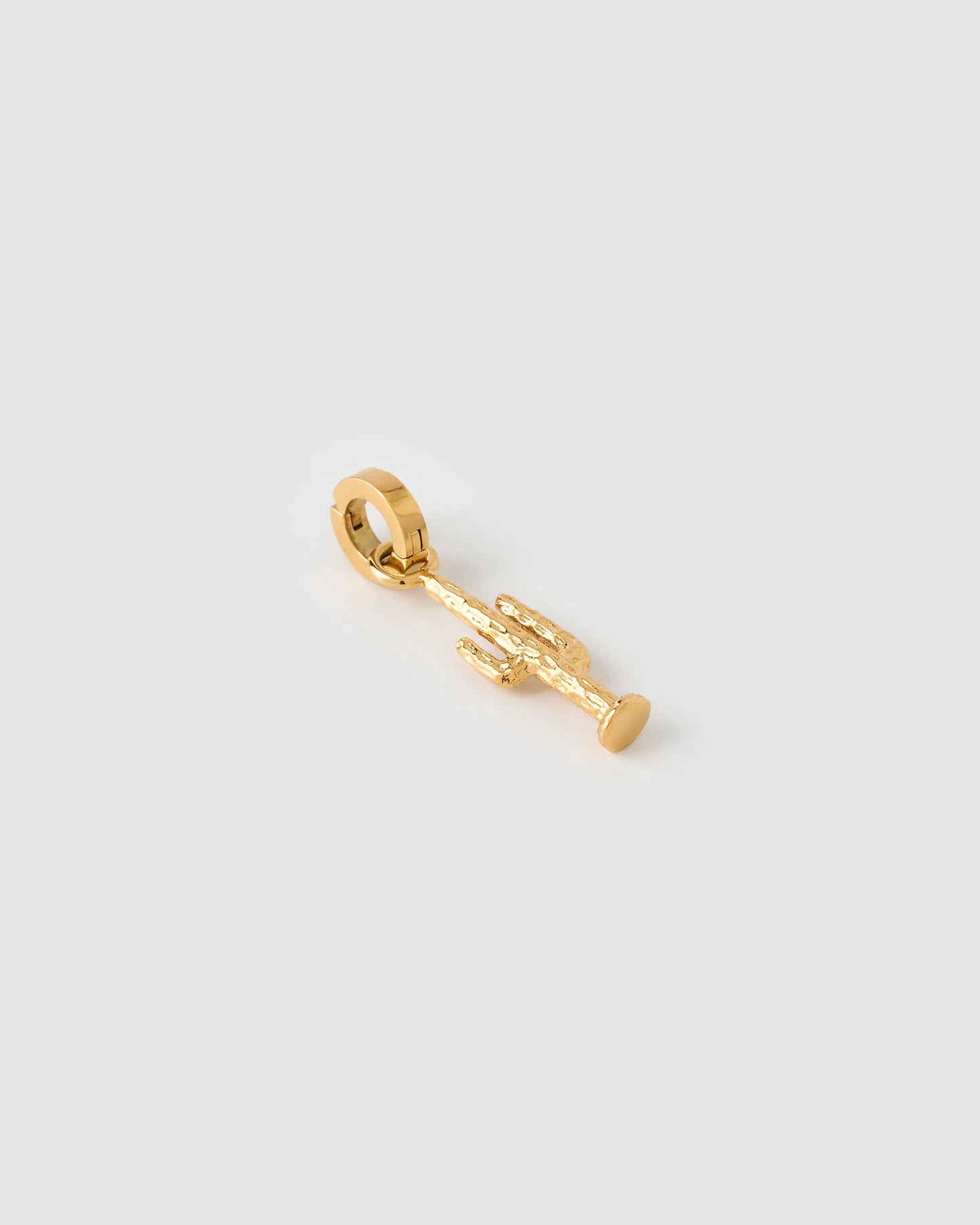 Cactus Charm