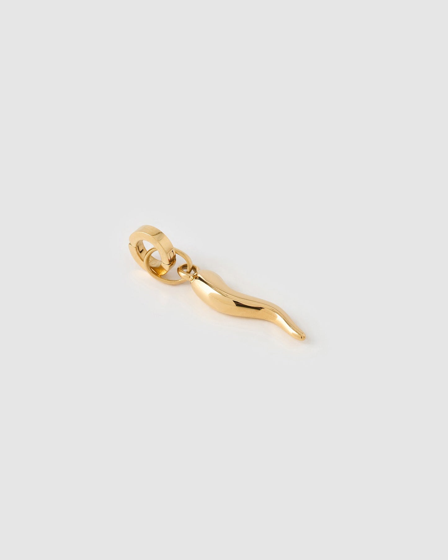 Cornicello Gold Charm