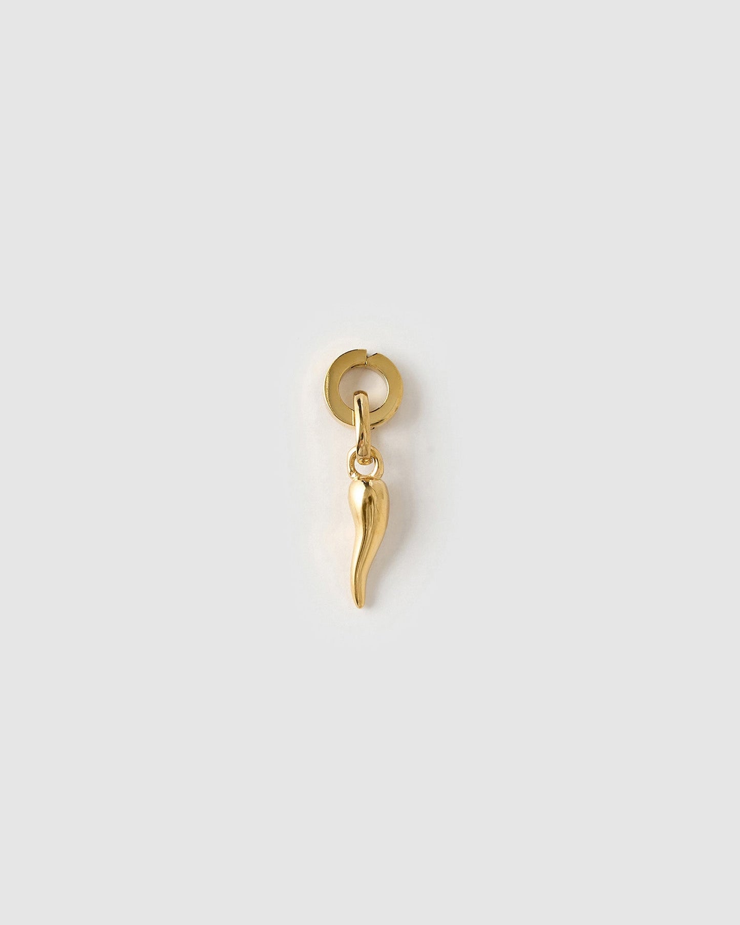 Cornicello Gold Charm Small