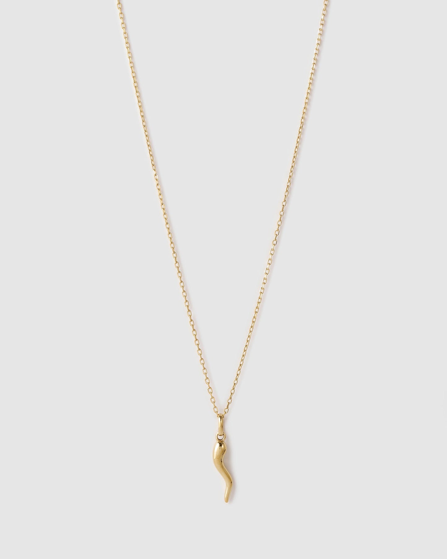 Cornicello Gold Charm Necklace - Large