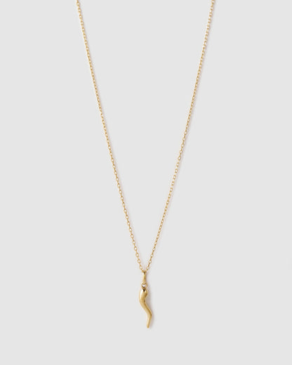 Cornicello Gold Charm Necklace - Large