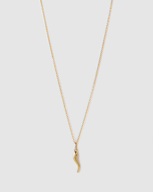 Cornicello Gold Charm Necklace - Large