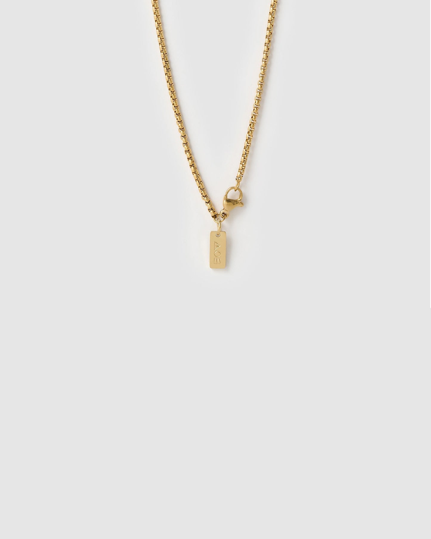 Double Cornicello Charm Combo Necklace