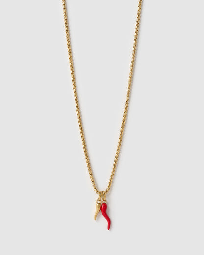 Double Cornicello Charm Combo Necklace