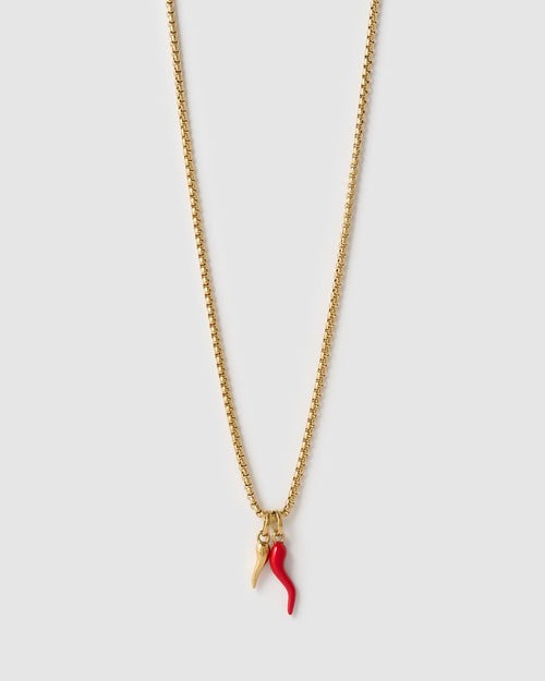 Double Cornicello Charm Combo Necklace