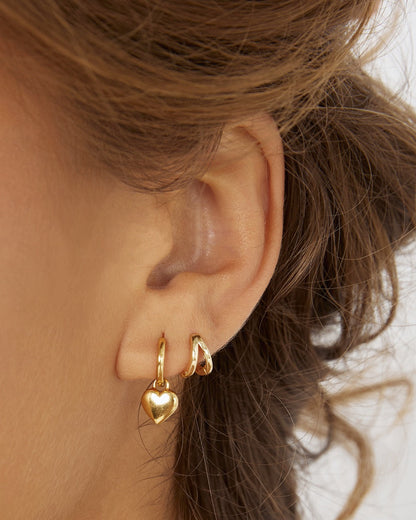 Treasure Gold Earrings
