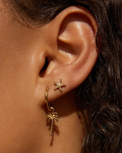 Starfish Gold Studs