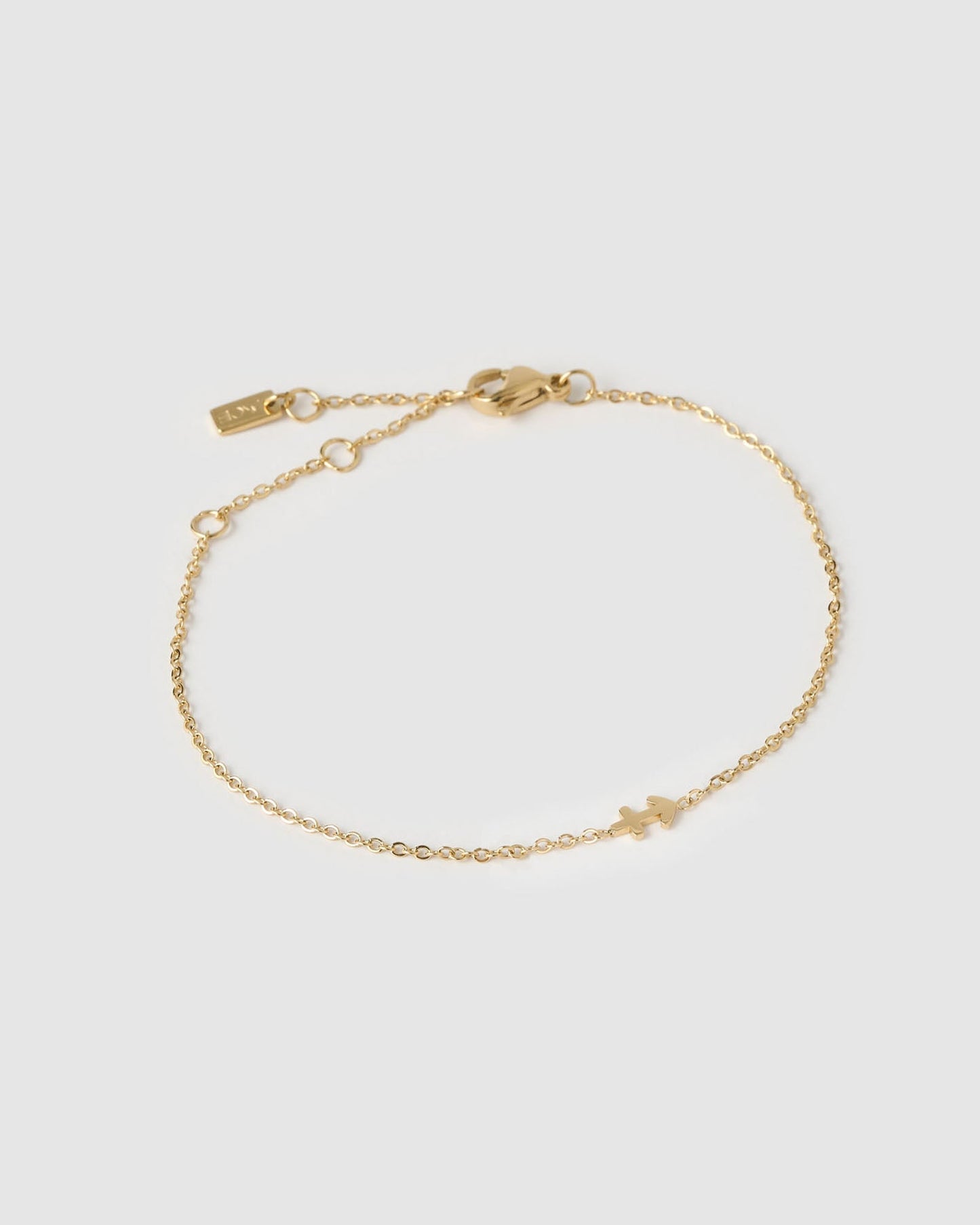 Mini Zodiac Gold Bracelet