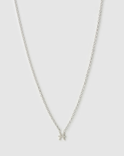 Mini Zodiac Silver Necklace