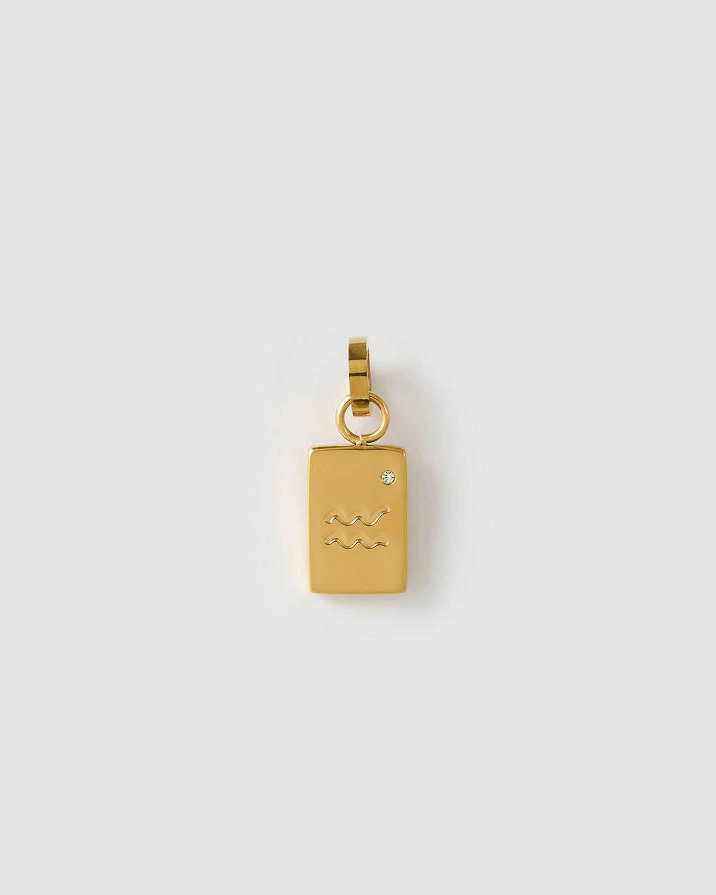 Zodiac Tag Charm