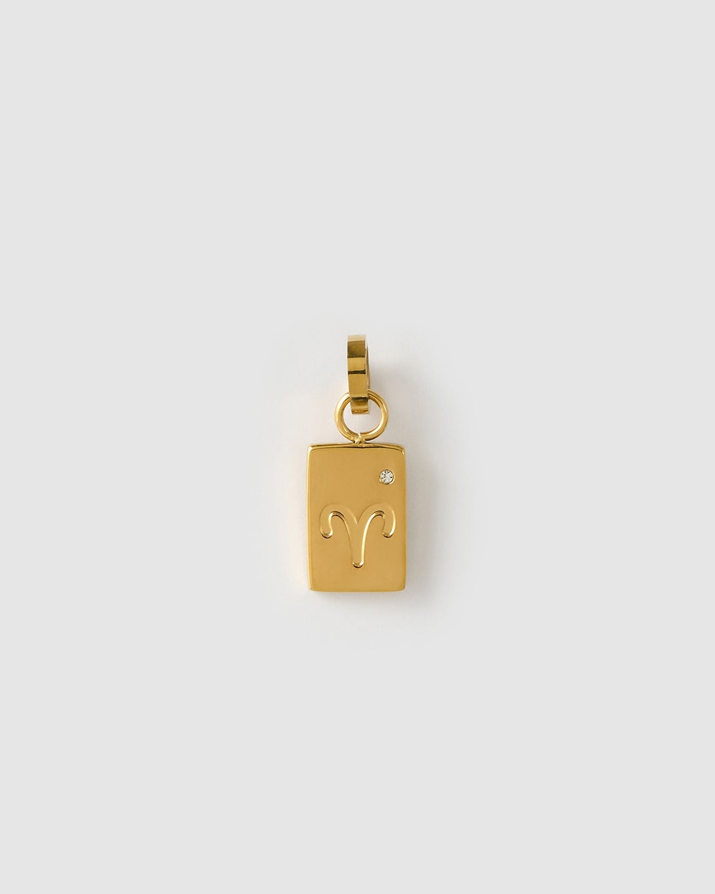Zodiac Tag Charm