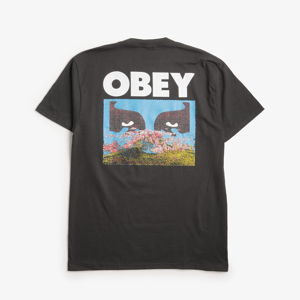 OBEY In A Different Place T-Shirt