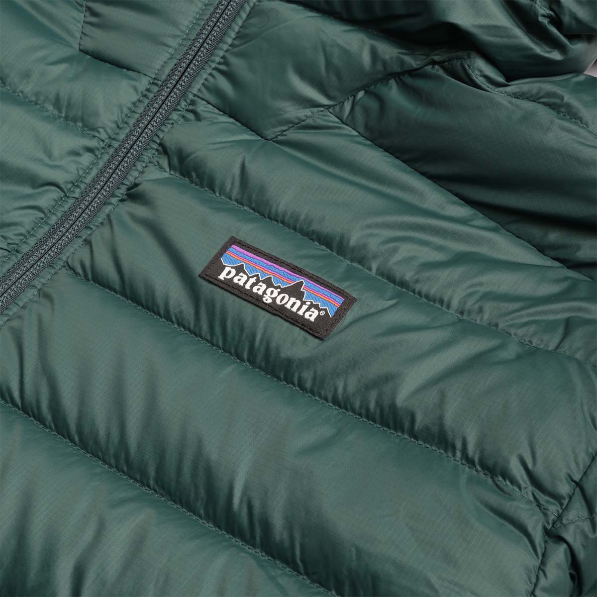 Patagonia Down Sweater Hoodie