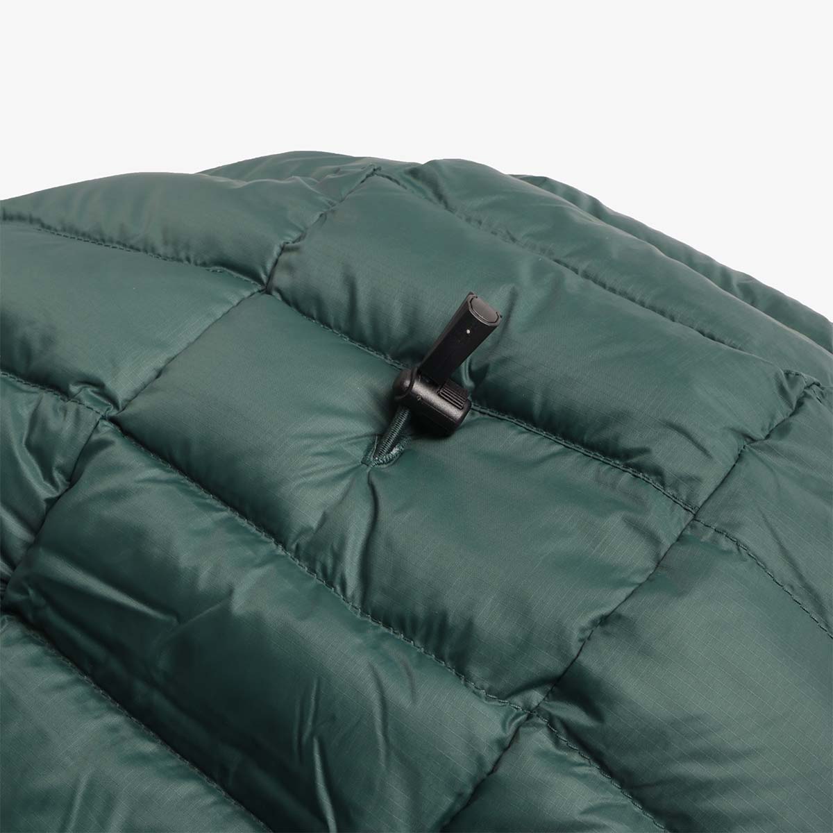 Patagonia Down Sweater Hoodie