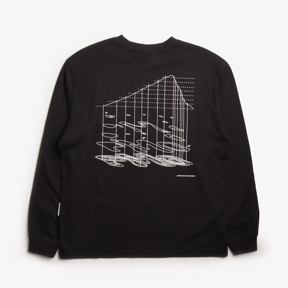 Purple Mountain Observartory Map Projection T-Shirt
