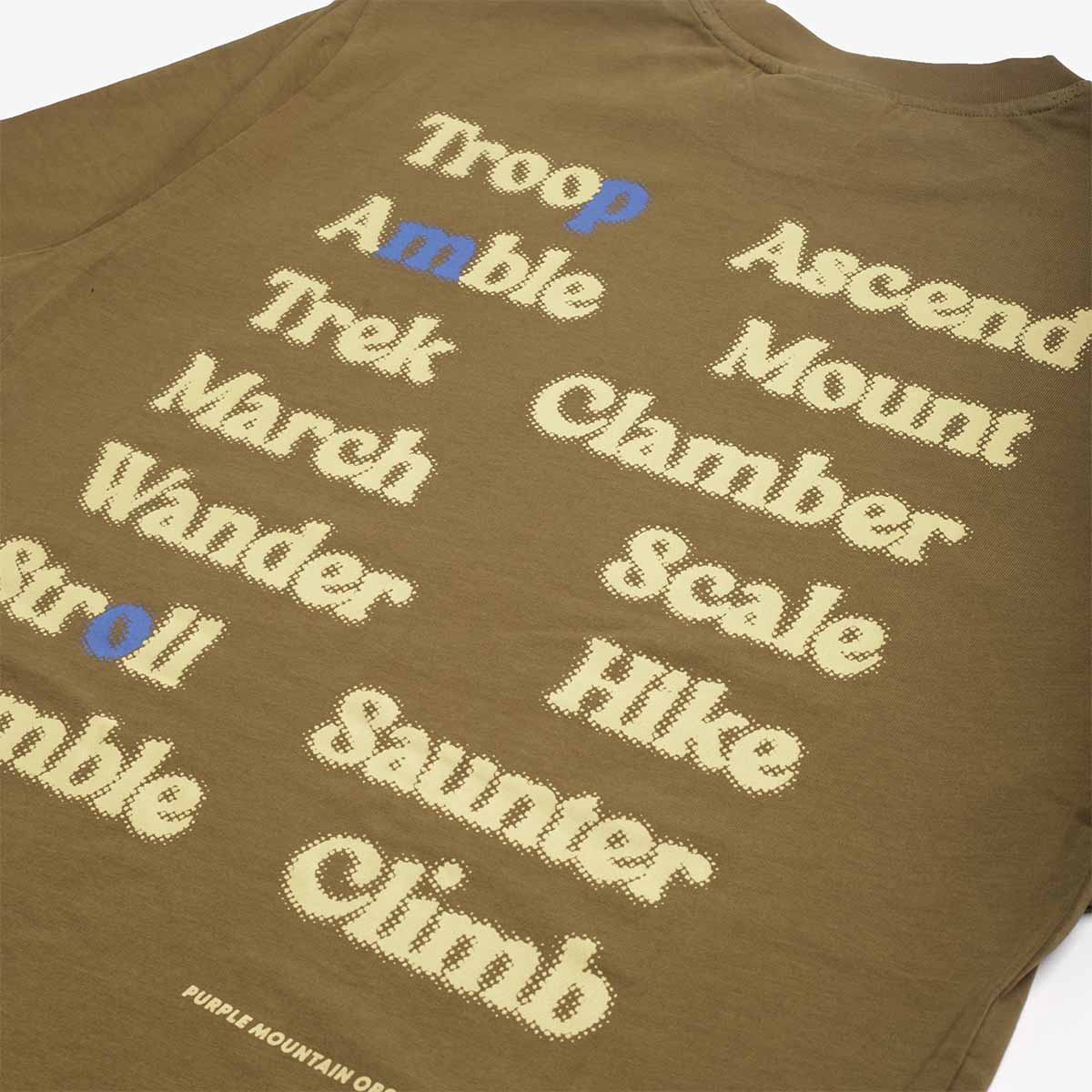 Purple Mountain Observatory Ascend T-Shirt