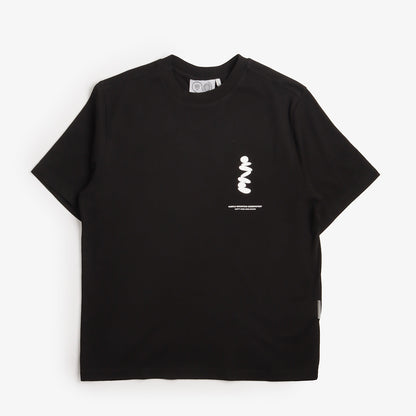 Purple Mountain Observatory Boulders T-Shirt