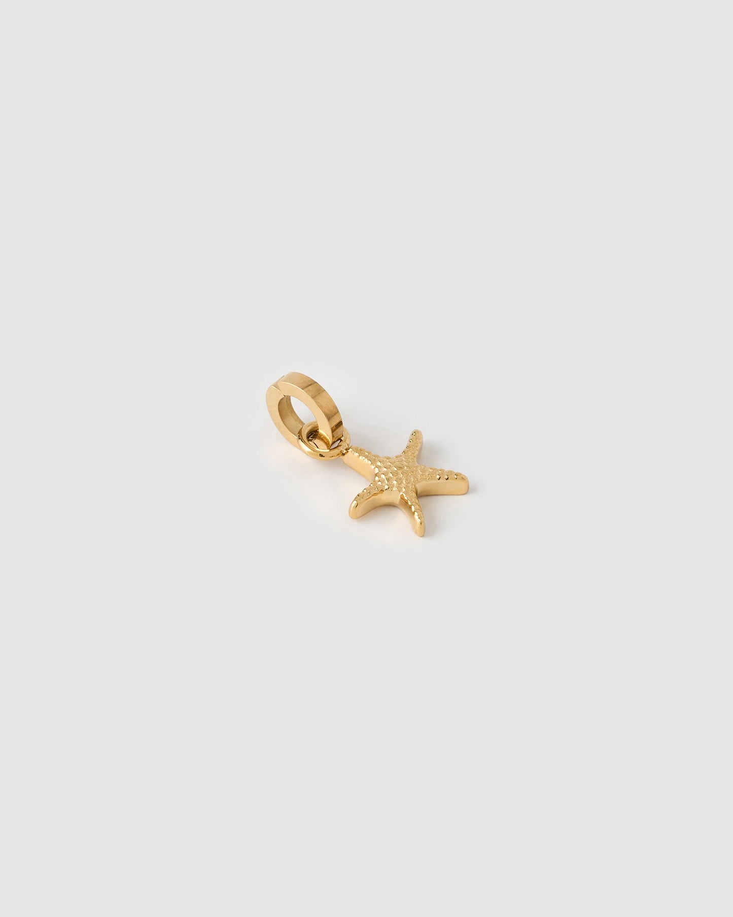 Sea Star Charm