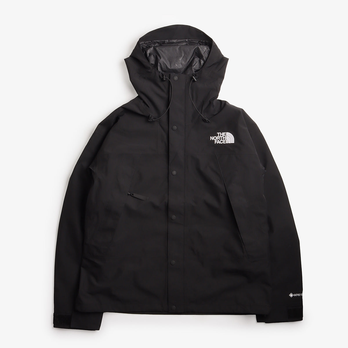 The North Face GTX Mountain Jacket