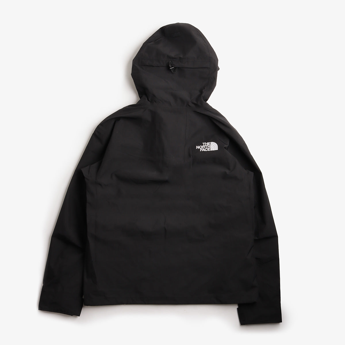The North Face GTX Mountain Jacket
