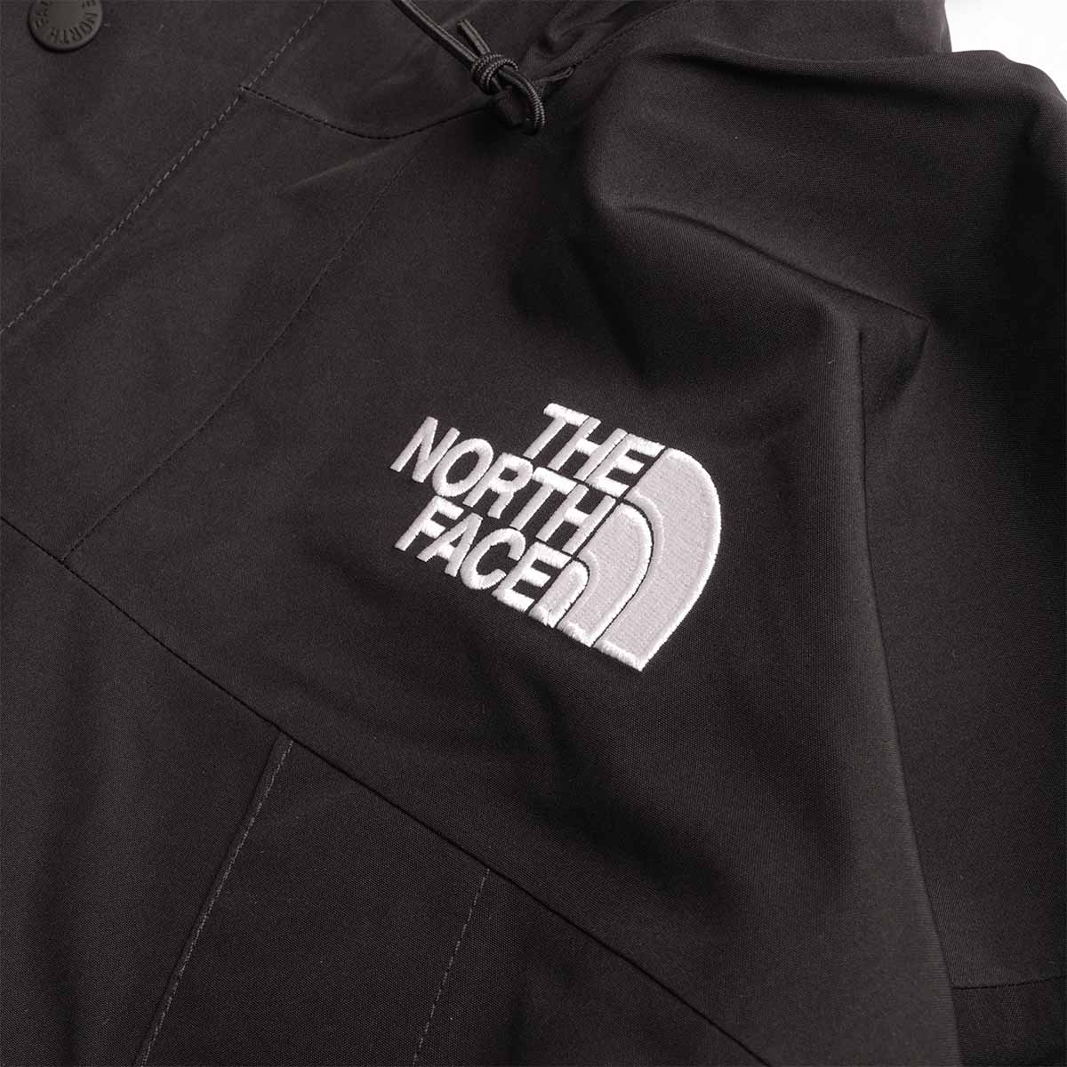The North Face GTX Mountain Jacket
