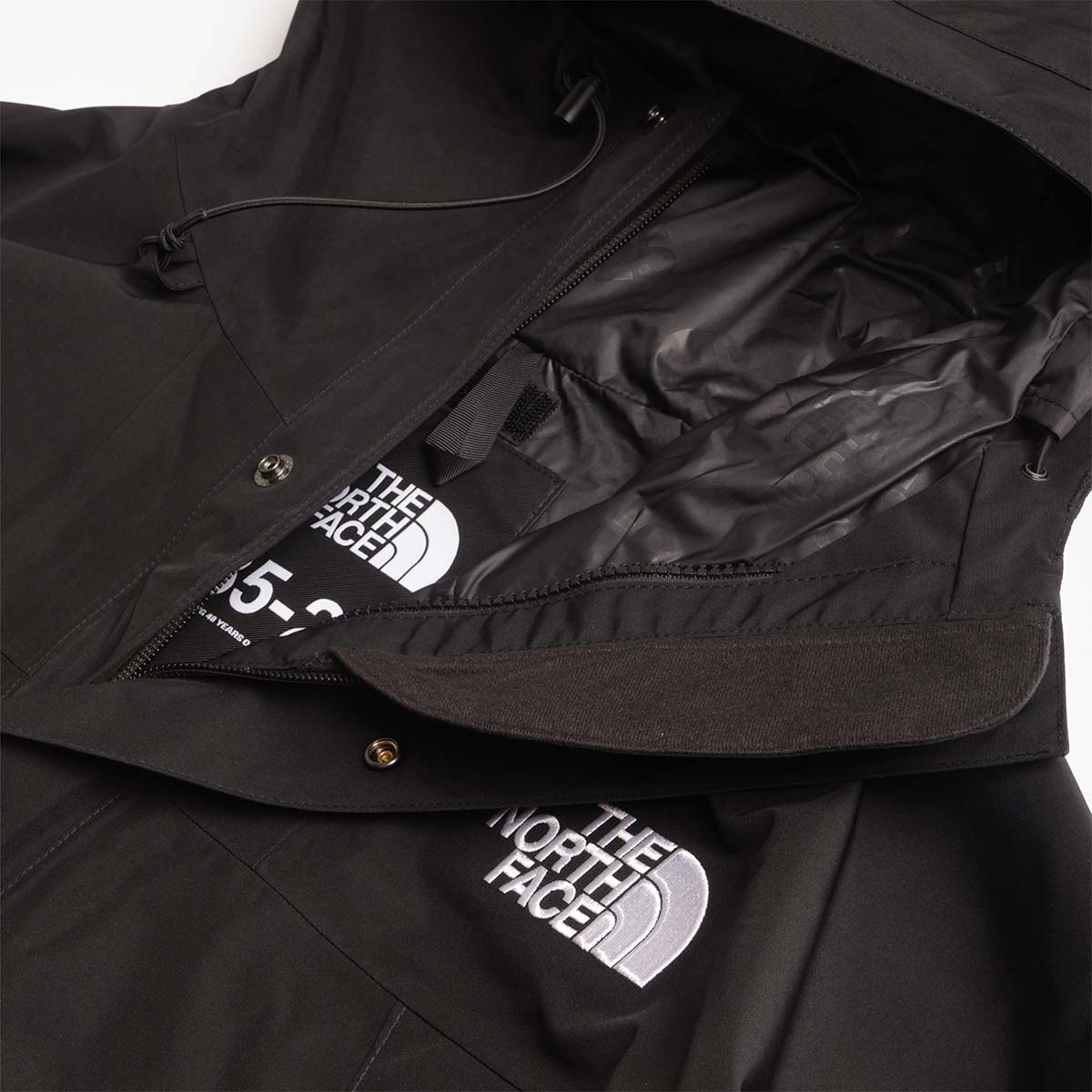 The North Face GTX Mountain Jacket