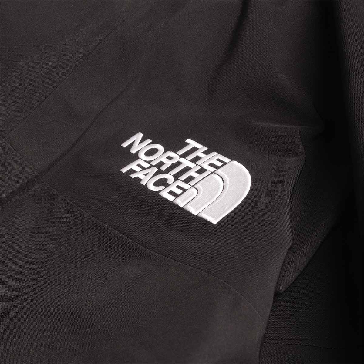 The North Face GTX Mountain Jacket