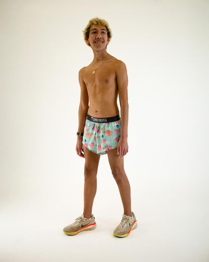 Men's Flying Pigs 2" Split Shorts